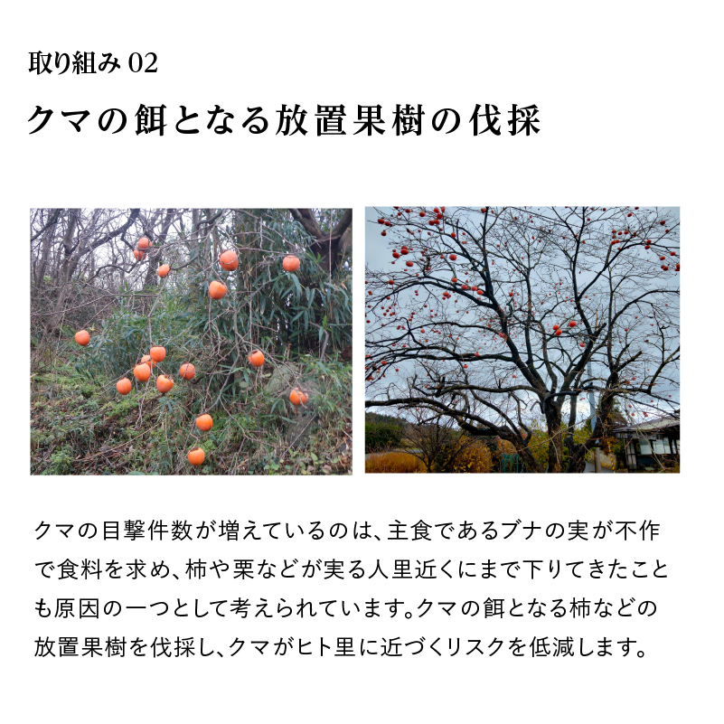 《クマといい距離プロジェクト》寄附のみ4,000円