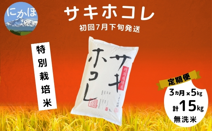 定期便12ヶ月】新米 令和5年産 あきたこまち 秋田県産「仙人米」玄米