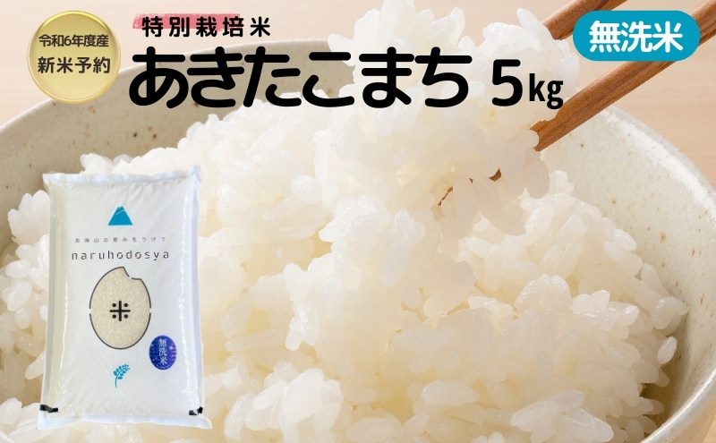 【令和6年産新米予約】【無洗米】特別栽培米あきたこまち5kg×1