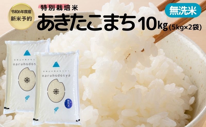 【令和6年産新米予約】【無洗米】特別栽培米あきたこまち5kg×2