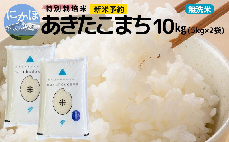 新米予約【無洗米】特別栽培米あきたこまち5kg×2 令和7年産 秋田県 にかほ市 お米 米 こめ