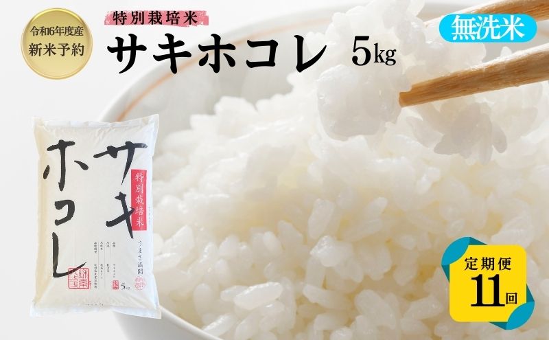 【令和6年産新米予約】<11ヵ月定期便>【無洗米】特別栽培米サキホコレ5kg×11回 合計55kg