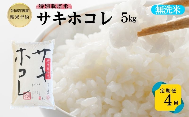 【令和6年産新米予約】<4ヵ月定期便>【無洗米】特別栽培米サキホコレ5kg×4回 合計20kg