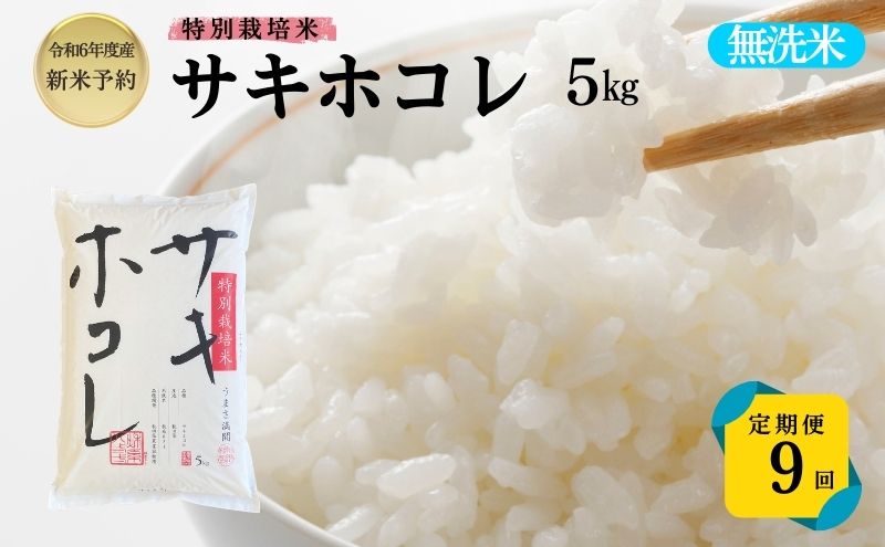 【令和6年産新米予約】<9ヵ月定期便>【無洗米】特別栽培米サキホコレ5kg×9回 合計45kg
