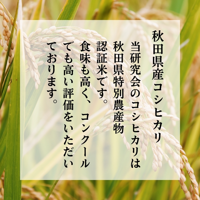 《定期便》令和6年産 新米 11月から発送 特別栽培米 鰰米 コシヒカリ にかほ 精米 10kg 6ヶ月連続お届け 計60kg