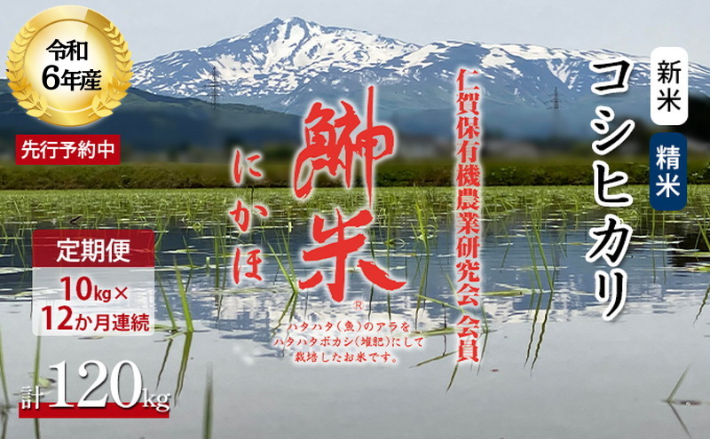 《定期便》令和6年産 新米 11月から発送 特別栽培米 鰰米 コシヒカリ にかほ 精米 10kg 12ヶ月連続お届け 計120kg