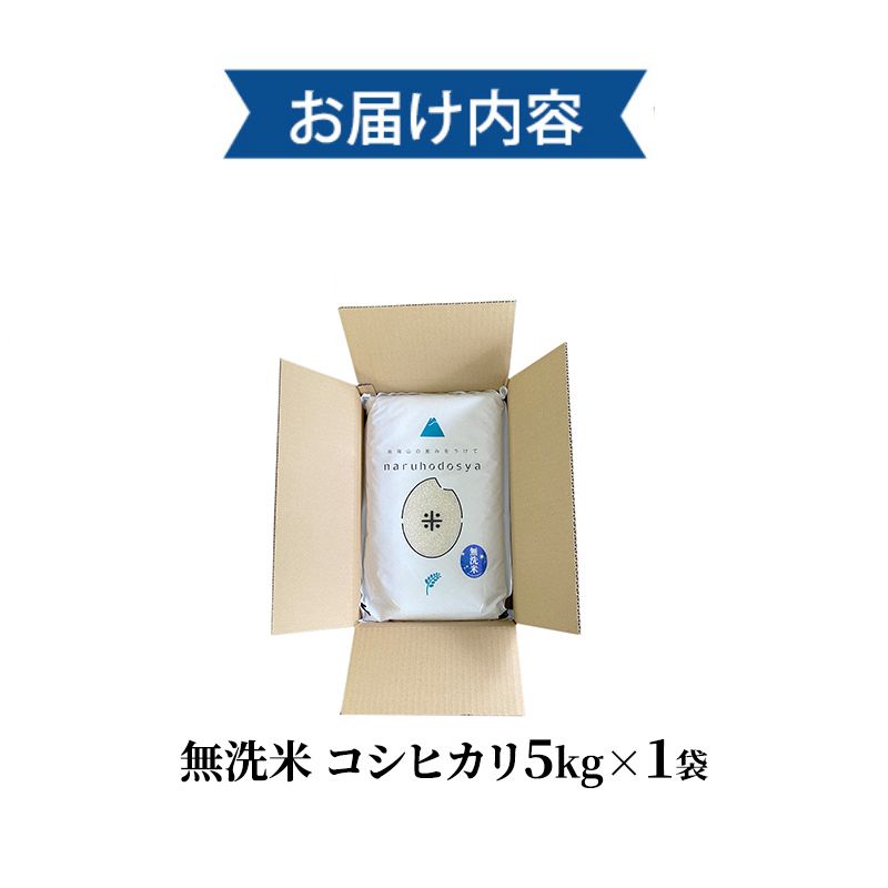 米 無洗米 令和6年産 コシヒカリ 5kg×1 お米