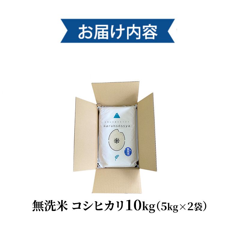 米 無洗米 令和6年産 コシヒカリ 5kg×2 お米