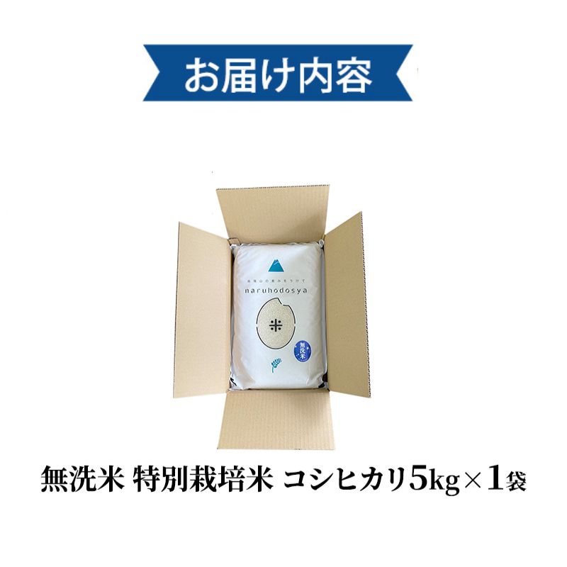 米 無洗米 令和6年産 特別栽培米コシヒカリ5kg×1 お米