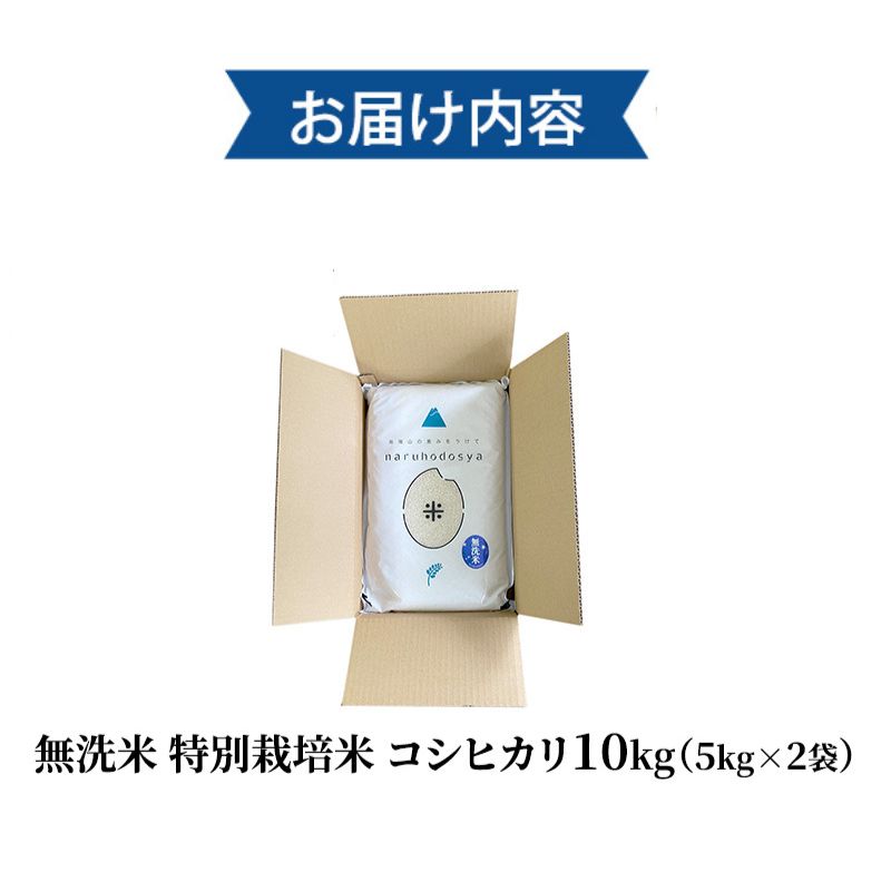 米 無洗米 令和6年産 特別栽培米コシヒカリ5kg×2 お米