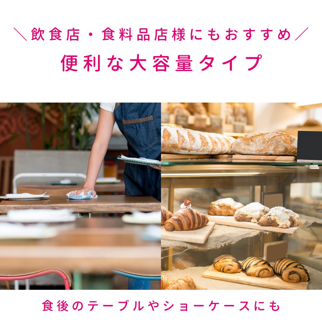 iWASH（アイウォッシュ）400mLスプレー  雑貨 日用品 油脂洗浄効果 