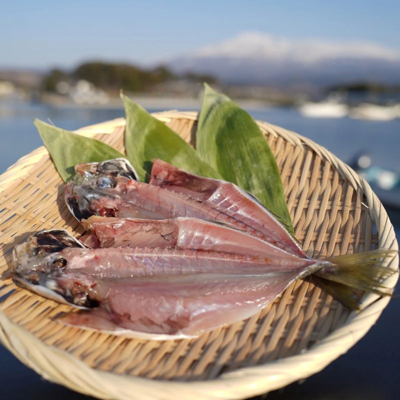 干物 鯵の干物 2枚 漁師直送 冷凍 ワンフローズン あじ 簡単調理