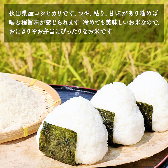 米 無洗米 令和6年産 コシヒカリ 5kg×2 お米