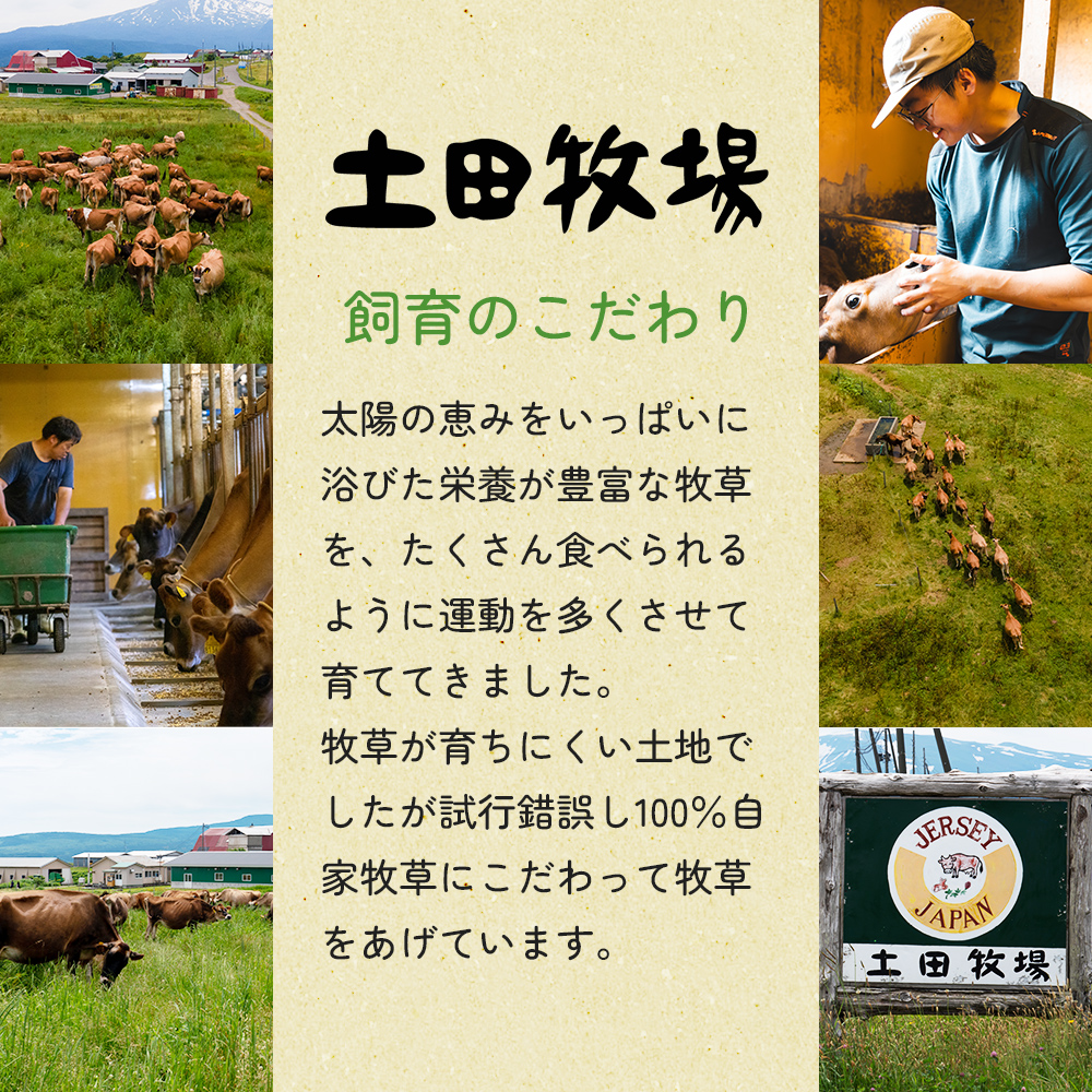 ジャージーすっきやき 250g 3袋 土田牧場 ジャージー牛 すき焼き 肩ロース 惣菜 和食 簡単調理 温めるだけ レトルト レトルト食品 秋田 秋田県 にかほ市