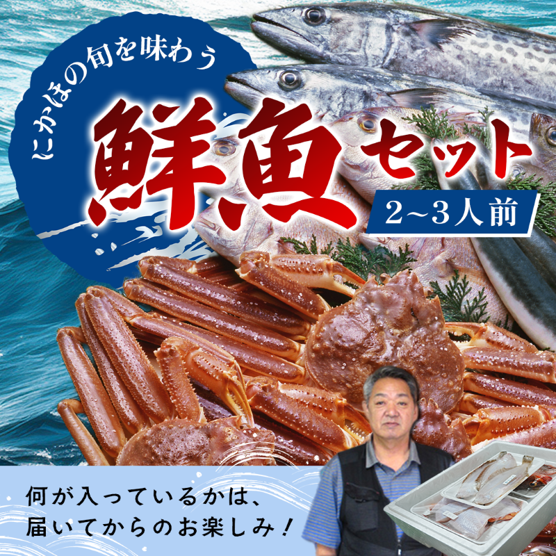 鮮魚 冷蔵 クール便「 開けたらすぐ食べられる下処理済み 海産物 2～3人前 セット 」さとう鮮魚店【 パック 詰め合わせ 海鮮セット 鮮魚ボックス 海鮮 海の幸 魚介 魚介類 刺身 切り身  秋田県 にかほ 】