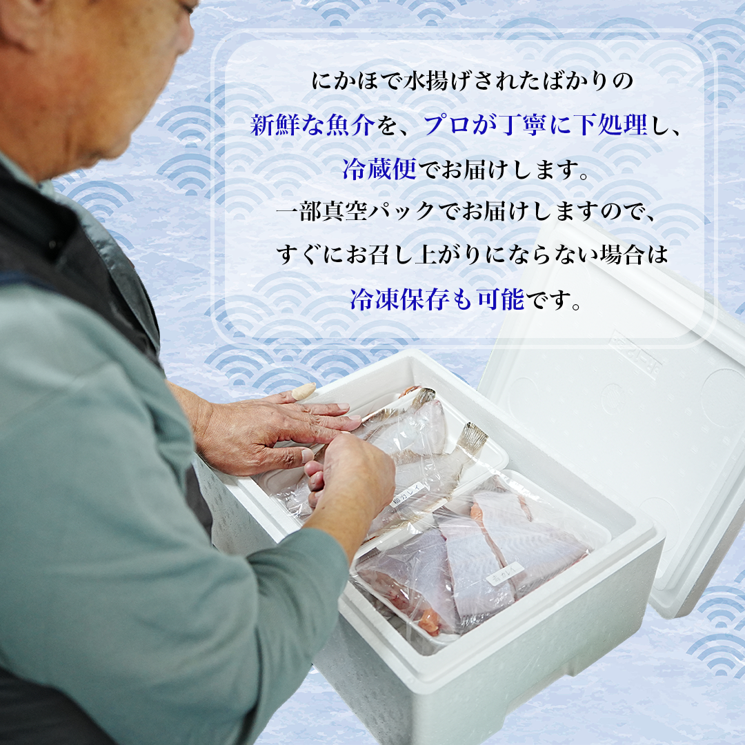 é®®é å·èµ ã¯ãŒã«äŸ¿ã éãããããé£ã¹ãããäžåŠçæžã¿ æµ·ç£ç© 2ïœ3人å ã»ãã ãããšãé®®éåºã ãã㯠詰ãåãã æµ·é®®ã»ãã é®®éããã¯ã¹ æµ·é®® æµ·ã®å¹ž éä» éä»é¡ åºèº« åã身 ç§ç°ç ã«ãã» ã