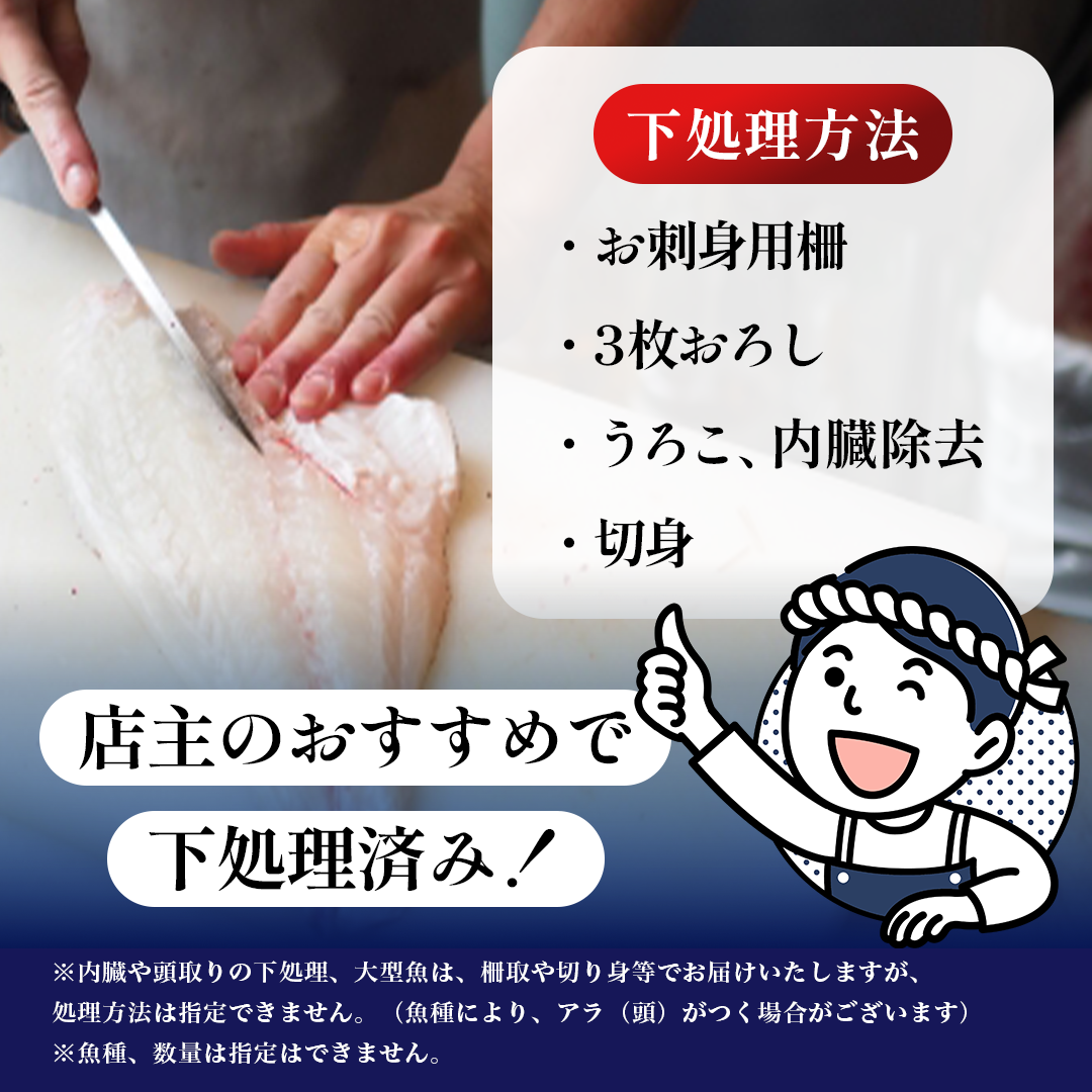 鮮魚 冷蔵 クール便「 開けたらすぐ食べられる下処理済み 海産物 2～3人前 セット 」みずしまや【 パック 詰め合わせ 海鮮セット 鮮魚ボックス 海鮮 海の幸 魚介 魚介類 刺身 切り身  秋田県 にかほ 】 
