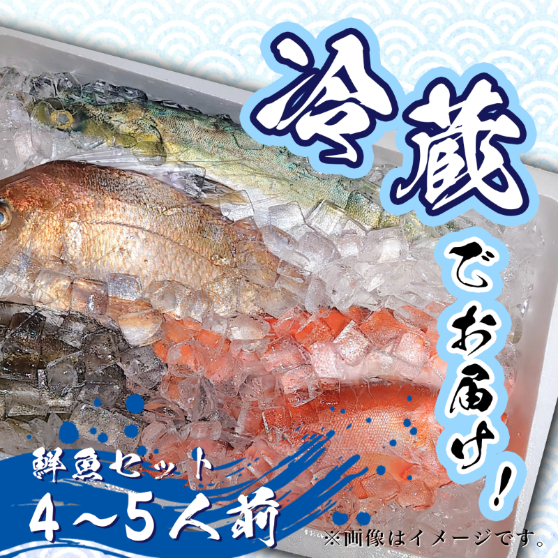 鮮魚 冷蔵 クール便「 開けたらすぐ食べられる下処理済み 海産物 4～5人前 セット 」みずしまや【 パック 詰め合わせ 海鮮セット 鮮魚ボックス 海鮮 海の幸 魚介 魚介類 刺身 切り身  秋田県 にかほ 】 