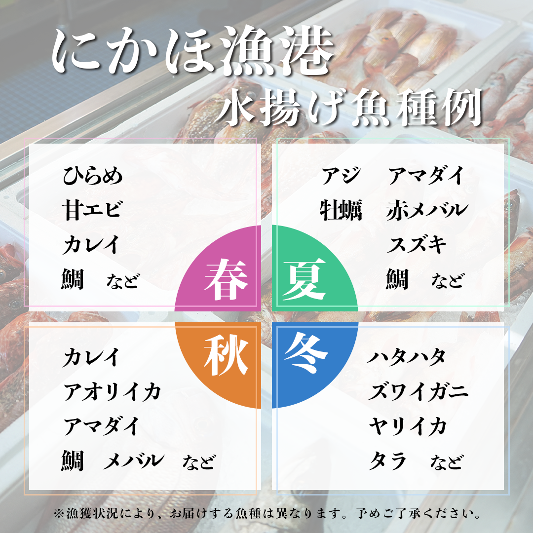 鮮魚 冷蔵 クール便「 開けたらすぐ食べられる下処理済み 海産物 4～5人前 セット 」佐藤鮮魚店【 パック 詰め合わせ 海鮮セット 鮮魚ボックス 海鮮 海の幸 魚介 魚介類 刺身 切り身  秋田県 にかほ 】