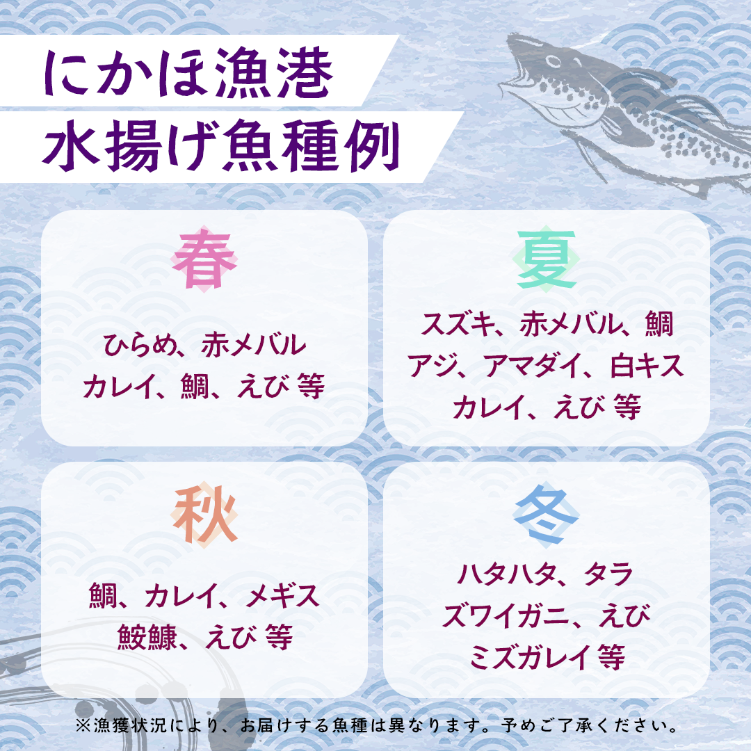 鮮魚 冷蔵 クール便「 開けたらすぐ食べられる下処理済み 海産物 4～5人前 セット 」さとう鮮魚店【 パック 詰め合わせ 海鮮セット 鮮魚ボックス 海鮮 海の幸 魚介 魚介類 刺身 切り身  秋田県 にかほ 】