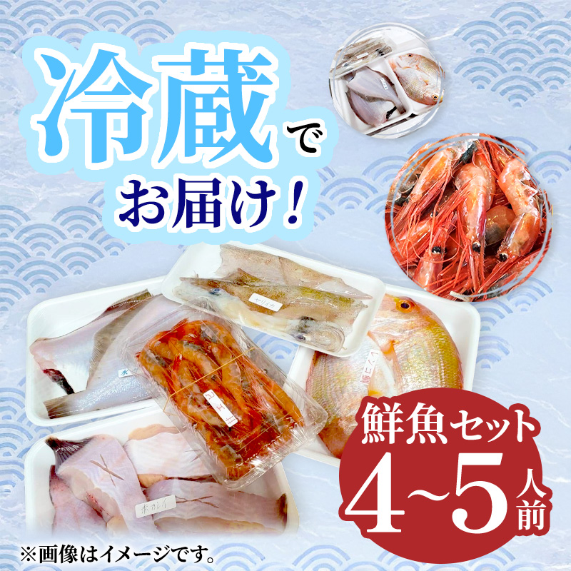 鮮魚 冷蔵 クール便「 開けたらすぐ食べられる下処理済み 海産物 4～5人前 セット 」さとう鮮魚店【 パック 詰め合わせ 海鮮セット 鮮魚ボックス 海鮮 海の幸 魚介 魚介類 刺身 切り身  秋田県 にかほ 】