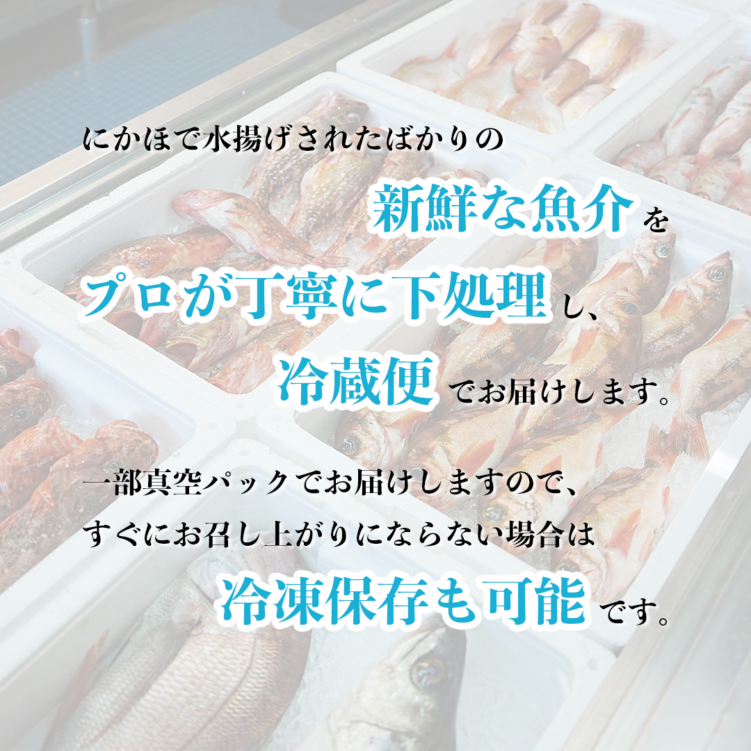 é®®é å·èµ ã¯ãŒã«äŸ¿ã éãããããé£ã¹ãããäžåŠçæžã¿ æµ·ç£ç© 2ïœ3人å ã»ãã ãäœè€é®®éåºã ãã㯠詰ãåãã æµ·é®®ã»ãã é®®éããã¯ã¹ æµ·é®® æµ·ã®å¹ž éä» éä»é¡ åºèº« åã身 ç§ç°ç ã«ãã» ã