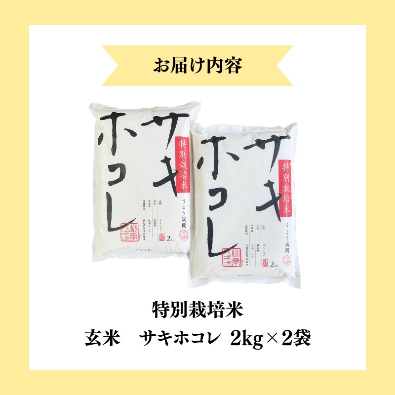 縲蝉サ、蜥7蟷エ逕」譁ー邀ウ縲第ス蝓ケ譛滄俣荳ュ 霎イ阮ャ繝サ蛹門ュヲ閧・譁吩ク堺スソ逕ィ縲千私邀ウ縲醍音蛻・譬ス蝓ケ邀ウ繧オ繧ュ繝帙さ繝ャ4kgシ2kgテ2シ