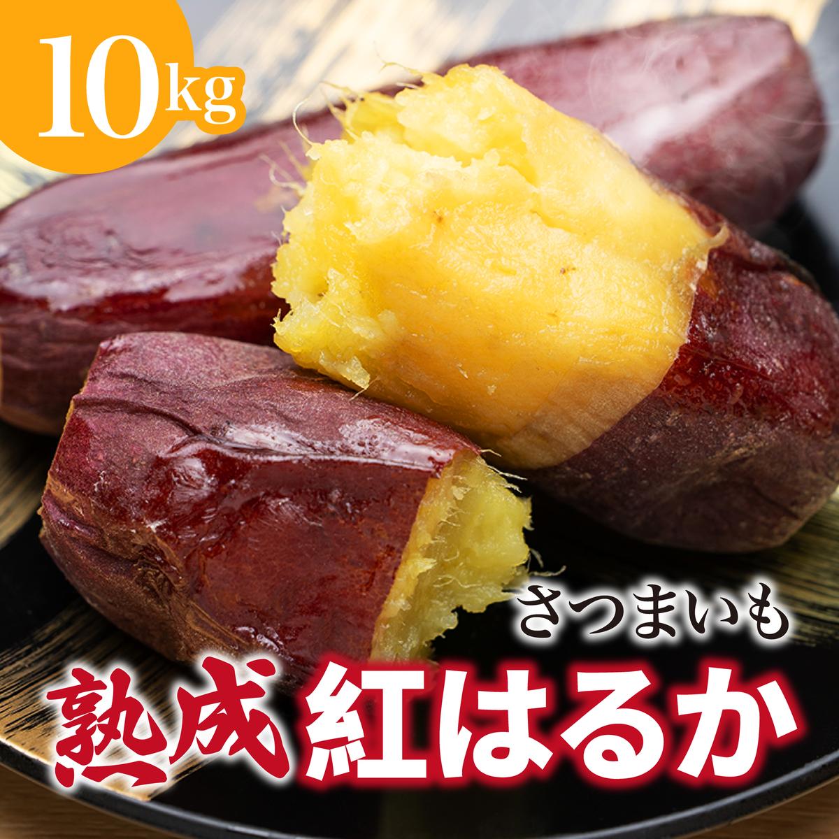 にかほ市 象潟町 大須郷産「 さつまいも 2ヶ月 熟成 紅はるか 10kg 」【 産地直送 国産 芋 おいも 定番 焼き芋 イモ 野菜 長期熟成 秋田県 にかほ】