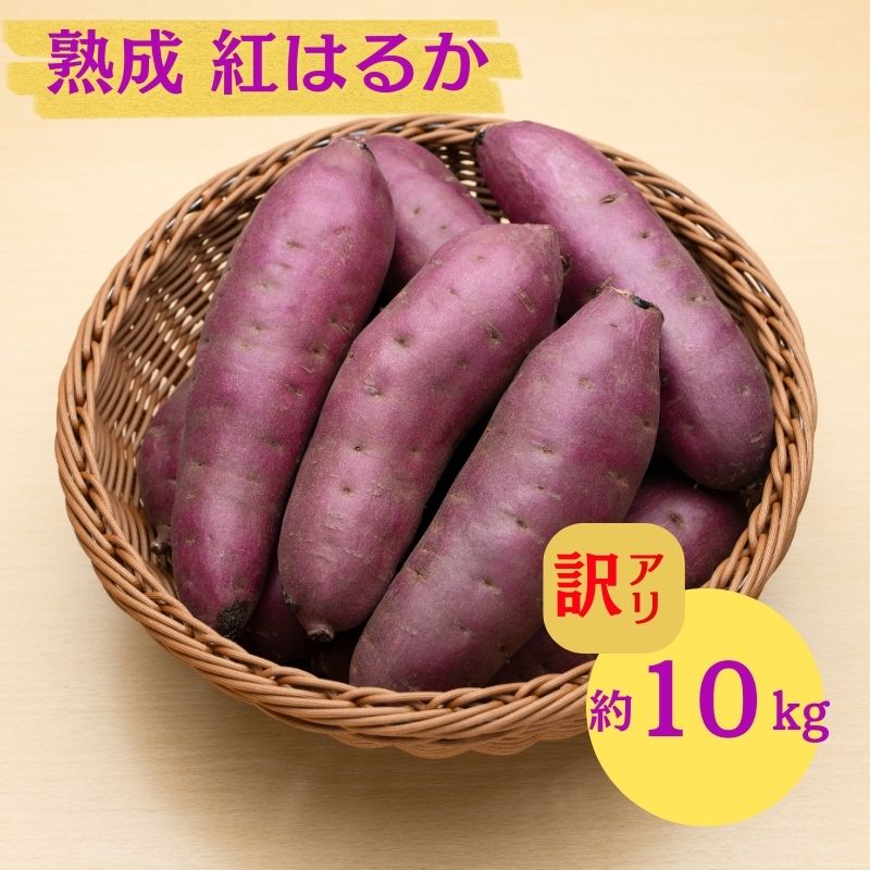 にかほ市 象潟町 大須郷産「 さつまいも 2ヶ月 熟成 紅はるか 不揃い 10kg 」【 産地直送 国産 芋 おいも 定番 焼き芋 イモ 野菜 不揃い 長期熟成 秋田県 にかほ】