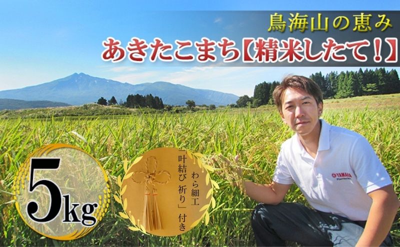 秋田県産 あきたこまち 「 あきたこまち ひの米 5kg 精米 」＆「叶結び 祈り」【 ご飯 白米 主食 ライス 釜ヶ台 国産 おにぎり お弁当 縁起物 装飾 工芸品 民芸品 手作り わら細工 インテリア 】