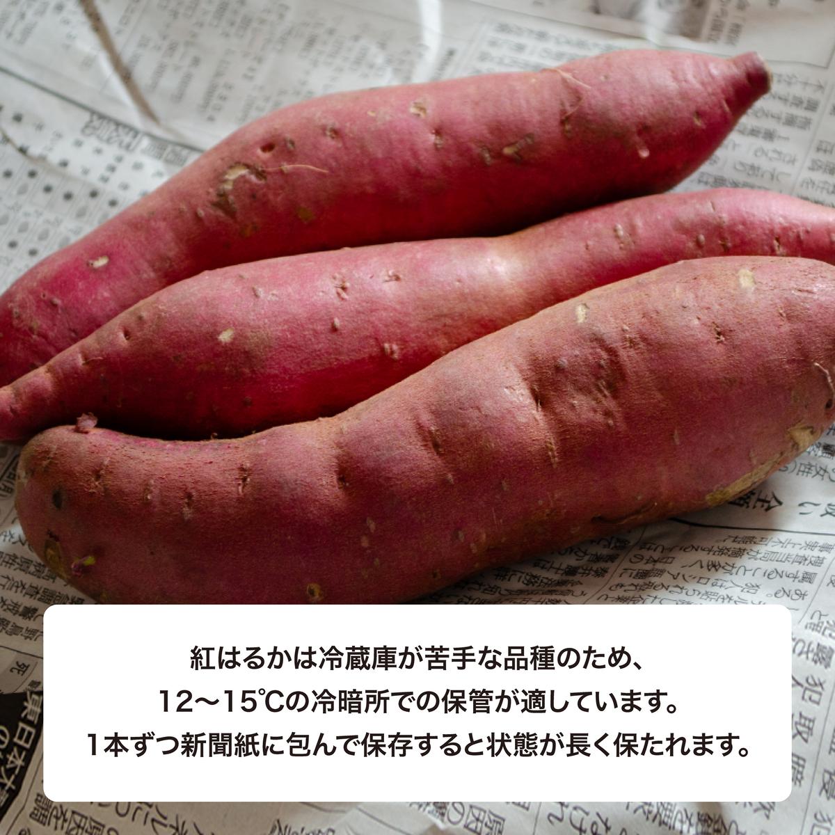 にかほ市 象潟町 大須郷産「 さつまいも 2ヶ月 熟成 紅はるか 5kg 」【 産地直送 国産 芋 おいも 定番 焼き芋 イモ 野菜 長期熟成 秋田県 にかほ】