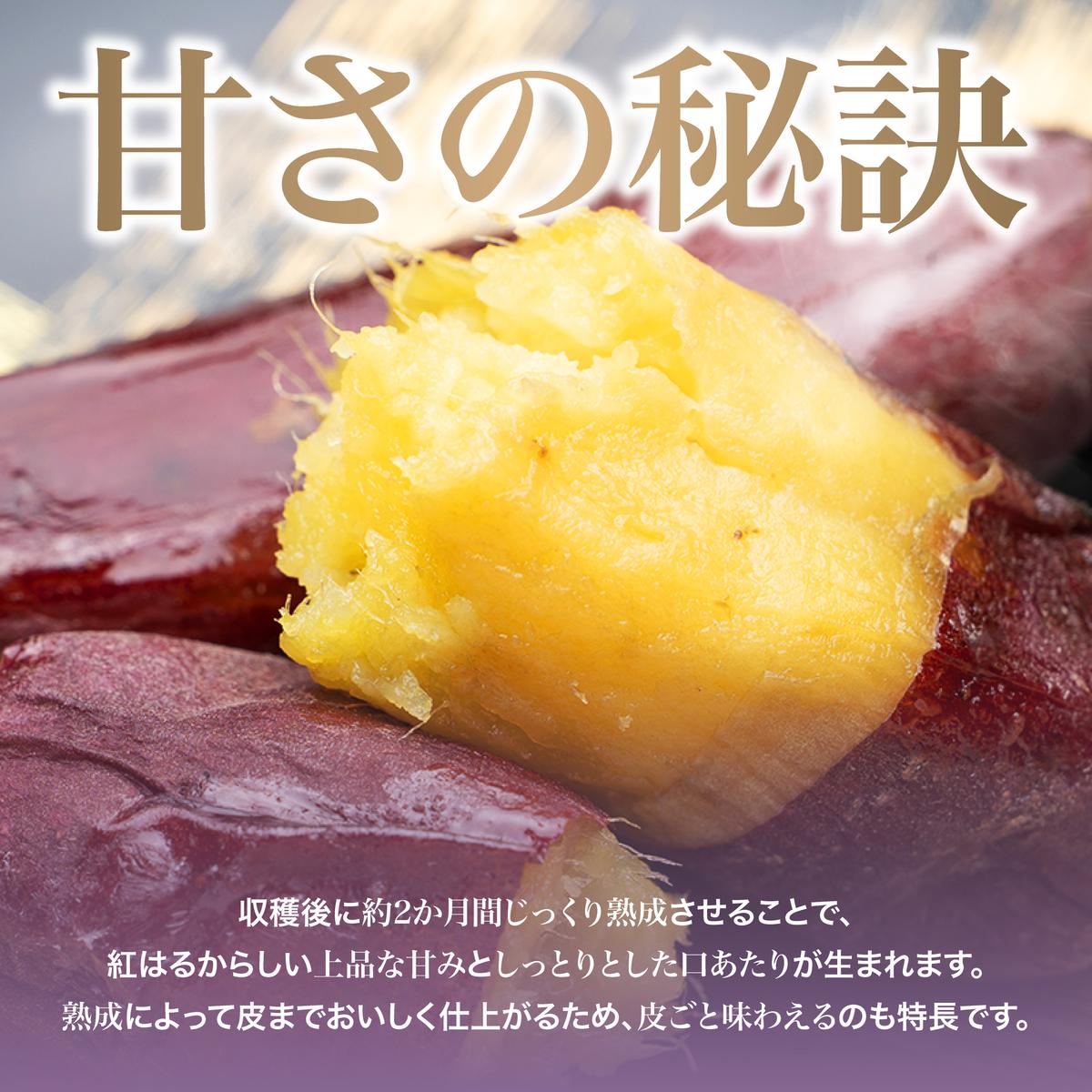 にかほ市 象潟町 大須郷産「 さつまいも 2ヶ月 熟成 紅はるか 不揃い 5kg 」【 産地直送 国産 芋 おいも 定番 焼き芋 イモ 野菜 不揃い 長期熟成 秋田県 にかほ】