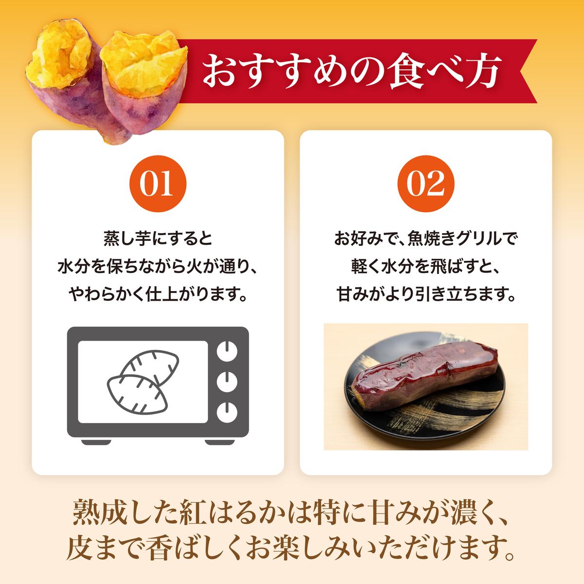 にかほ市 象潟町 大須郷産「 さつまいも 2ヶ月 熟成 紅はるか 不揃い 10kg 」【 産地直送 国産 芋 おいも 定番 焼き芋 イモ 野菜 不揃い 長期熟成 秋田県 にかほ】