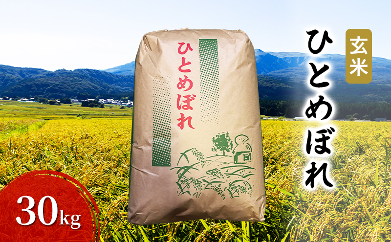 玄米 ひとめぼれ 30kg お米 米 こめ コメ 令和7年産 秋田県 にかほ市
