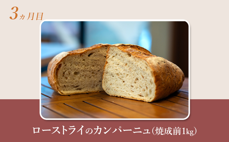 【 定期便 4ヵ月 】本場欧州のハード系パン 4種類 80%ライ麦パンと特製カンパーニュ 焼成前計3.9kg パン ライ麦パン カンパーニュ ハード系パン 冷凍