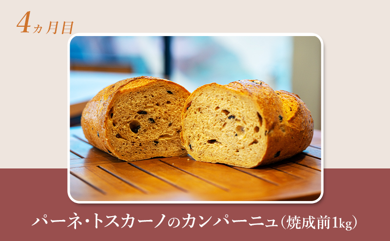 【 定期便 4ヵ月 】本場欧州のハード系パン 4種類 80%ライ麦パンと特製カンパーニュ 焼成前計3.9kg パン ライ麦パン カンパーニュ ハード系パン 冷凍