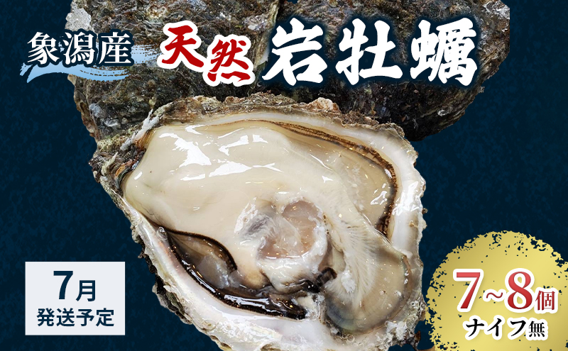 象潟産 天然岩牡蠣 7～8個 ナイフ無【 牡蠣 夏牡蠣 かき 象潟 生食可 魚介類 海鮮 海産物 海の幸 】 さとう鮮魚店