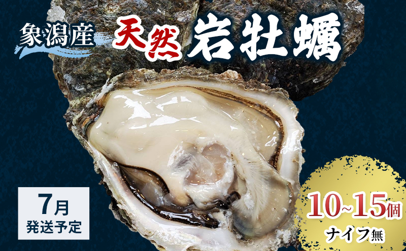 象潟産 天然岩牡蠣 10～15個 ナイフ無【 牡蠣 夏牡蠣 かき 象潟 生食可 魚介類 海鮮 海産物 海の幸 】 さとう鮮魚店