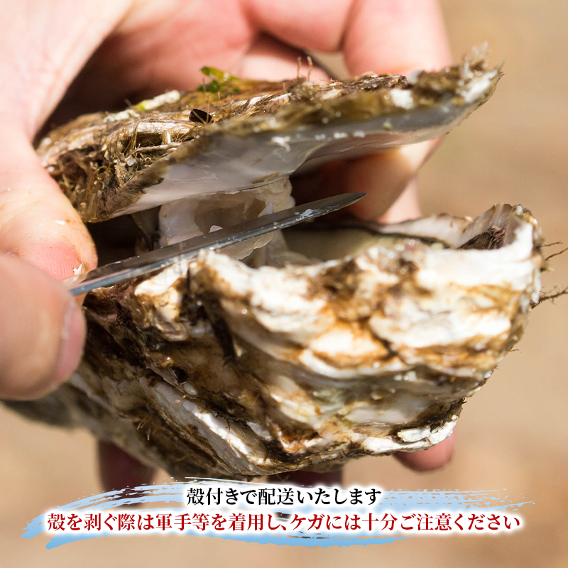 雎。貎溽肇 螟ゥ辟カ蟯ゥ迚。陟」 5ス6蛟 繝翫う繝慕┌縲 迚。陟」 螟冗横陟」 縺九″ 雎。貎 逕滄」溷庄 鬲壻サ矩。 豬キ魄ョ 豬キ逕」迚ゥ 豬キ縺ョ蟷ク 縲 縺輔→縺魄ョ鬲壼コ