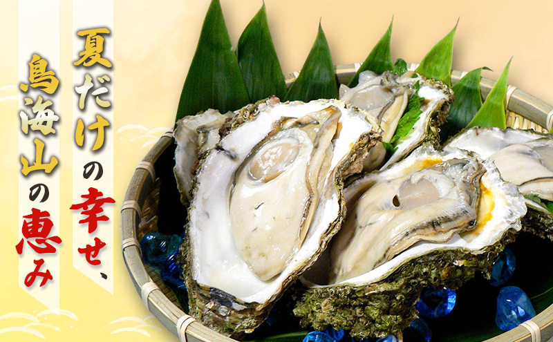 象潟産 天然岩牡蠣 13～15個 ナイフ付【牡蠣 夏牡蠣 かき 象潟 生食可 魚介類 海鮮　海産物 海の幸】　秋田商店