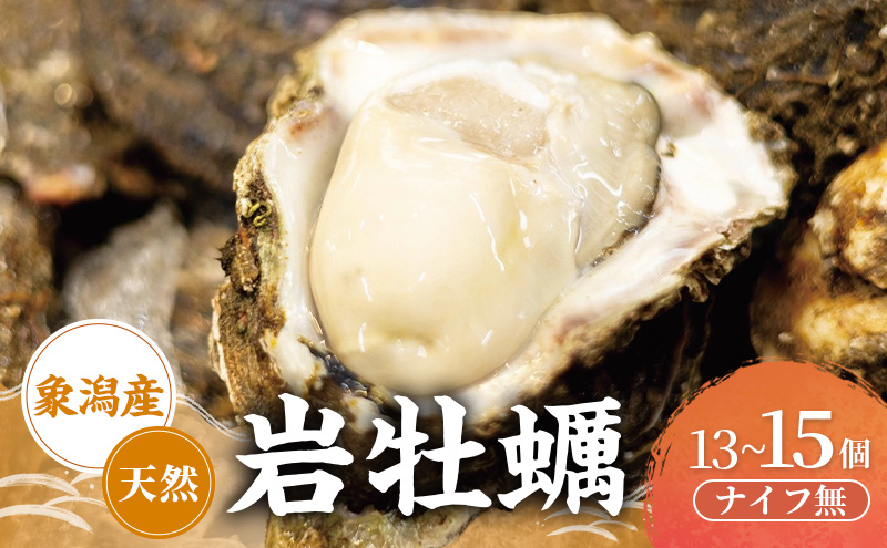 【先行予約 7月上旬～下旬発送予定】象潟産 天然岩牡蠣　13～15個 ナイフ無【牡蠣 夏牡蠣 かき 象潟 生食可 魚介類 海鮮　海産物 海の幸】　
