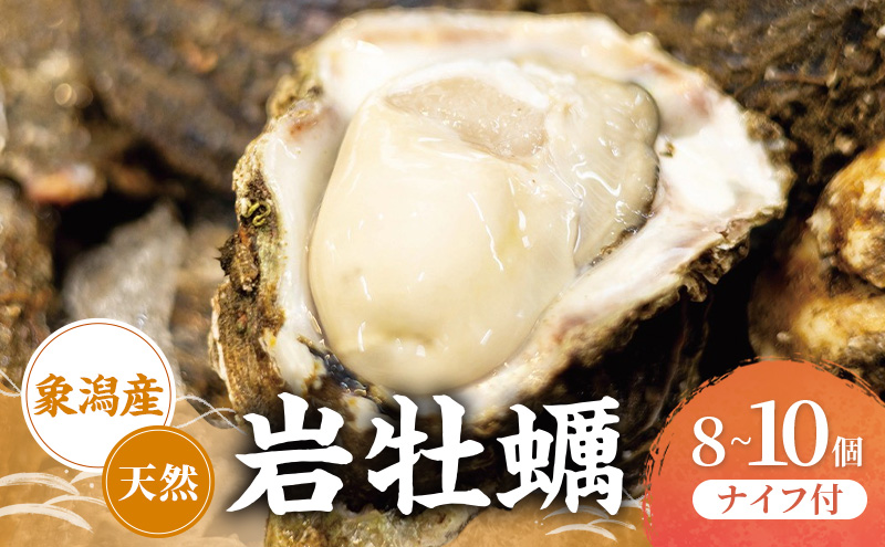 【先行予約 7月上旬～下旬発送予定】象潟産　天然岩牡蠣 8～10個 ナイフ付【牡蠣 夏牡蠣 かき 象潟 生食可 魚介類 海鮮　海産物 海の幸】　