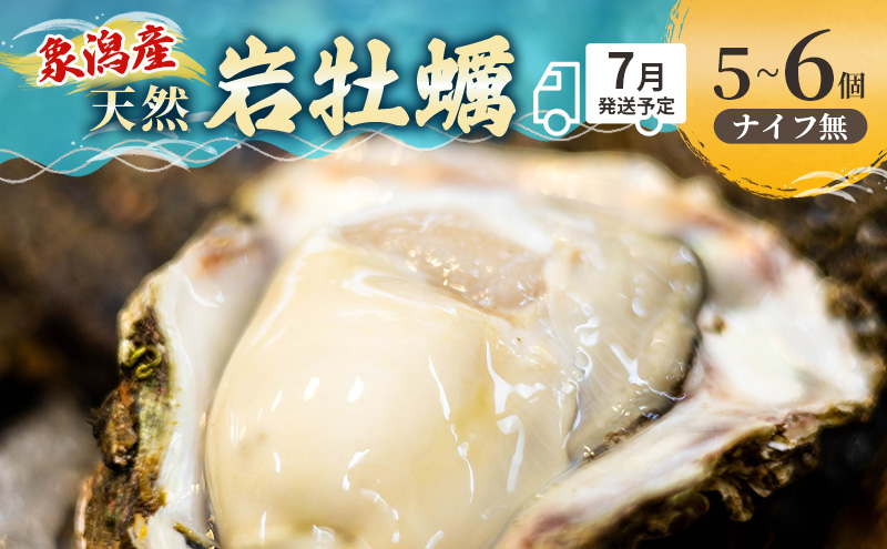 象潟産 天然岩牡蠣 5～6個 ナイフ無【 牡蠣 夏牡蠣 かき 象潟 生食可 魚介類 海鮮 海産物 海の幸 】 佐藤鮮魚店