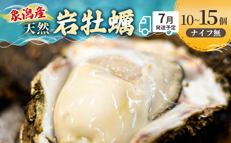 象潟産 天然岩牡蠣 10～12個 ナイフ無【 牡蠣 夏牡蠣 かき 象潟 生食可 魚介類 海鮮 海産物 海の幸 】 佐藤鮮魚店