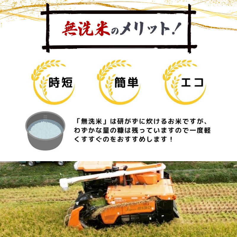 【令和8年産 新米予約】【無洗米】秋田県産特別栽培米ササニシキ4kg（2kg×2袋）新米 お米 おこめ 精米 小分け 特別栽培米