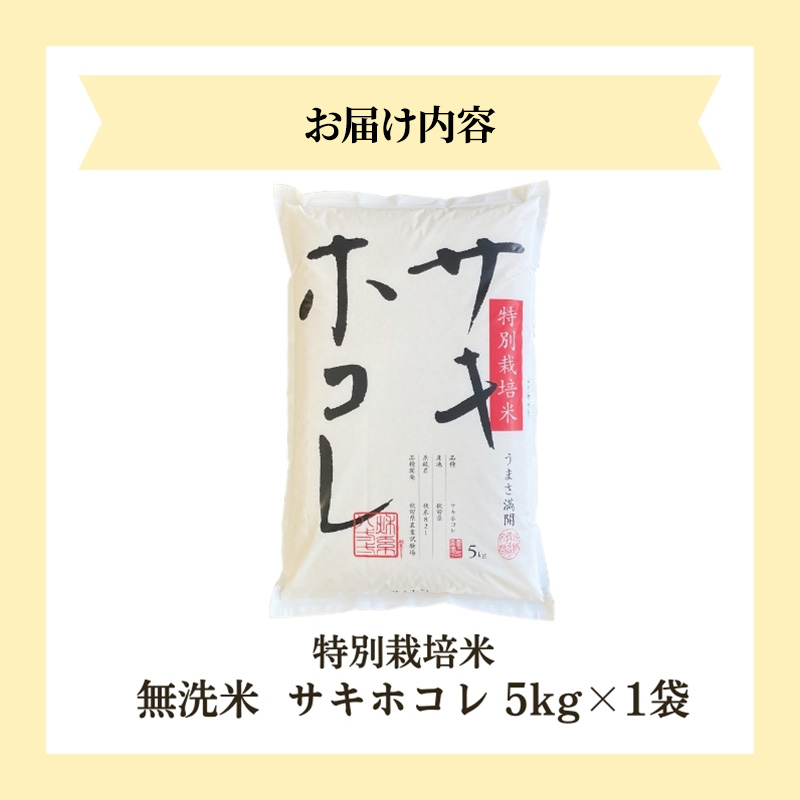 縲蝉サ、蜥8蟷エ逕」 譁ー邀ウ莠育エ縲代千┌豢礼アウ縲醍ァ狗伐逵檎肇迚ケ蛻・譬ス蝓ケ邀ウ繧オ繧ュ繝帙さ繝ャ5kgテ1陲 譁ー邀ウ 縺顔アウ 縺翫%繧 邊セ邀ウ 迚ケ蛻・譬ス蝓ケ邀ウ