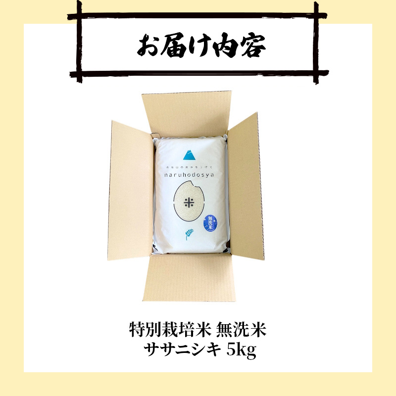 縲蝉サ、蜥8蟷エ逕」 譁ー邀ウ莠育エ縲代千┌豢礼アウ縲醍ァ狗伐逵檎肇迚ケ蛻・譬ス蝓ケ邀ウ繧オ繧オ繝九す繧ュ5kgテ1陲 譁ー邀ウ 縺顔アウ 縺翫%繧 邊セ邀ウ迚ケ蛻・譬ス蝓ケ邀ウ