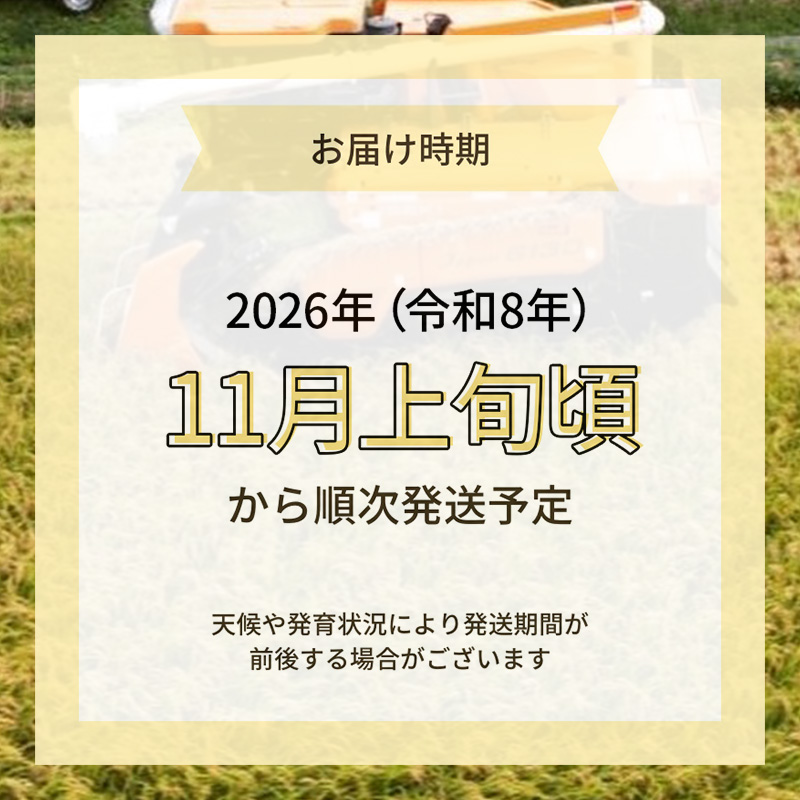 縲蝉サ、蜥8蟷エ逕」 譁ー邀ウ莠育エ縲代千┌豢礼アウ縲醍ァ狗伐逵檎肇迚ケ蛻・譬ス蝓ケ邀ウ繧オ繧オ繝九す繧ュ5kgテ1陲 譁ー邀ウ 縺顔アウ 縺翫%繧 邊セ邀ウ迚ケ蛻・譬ス蝓ケ邀ウ