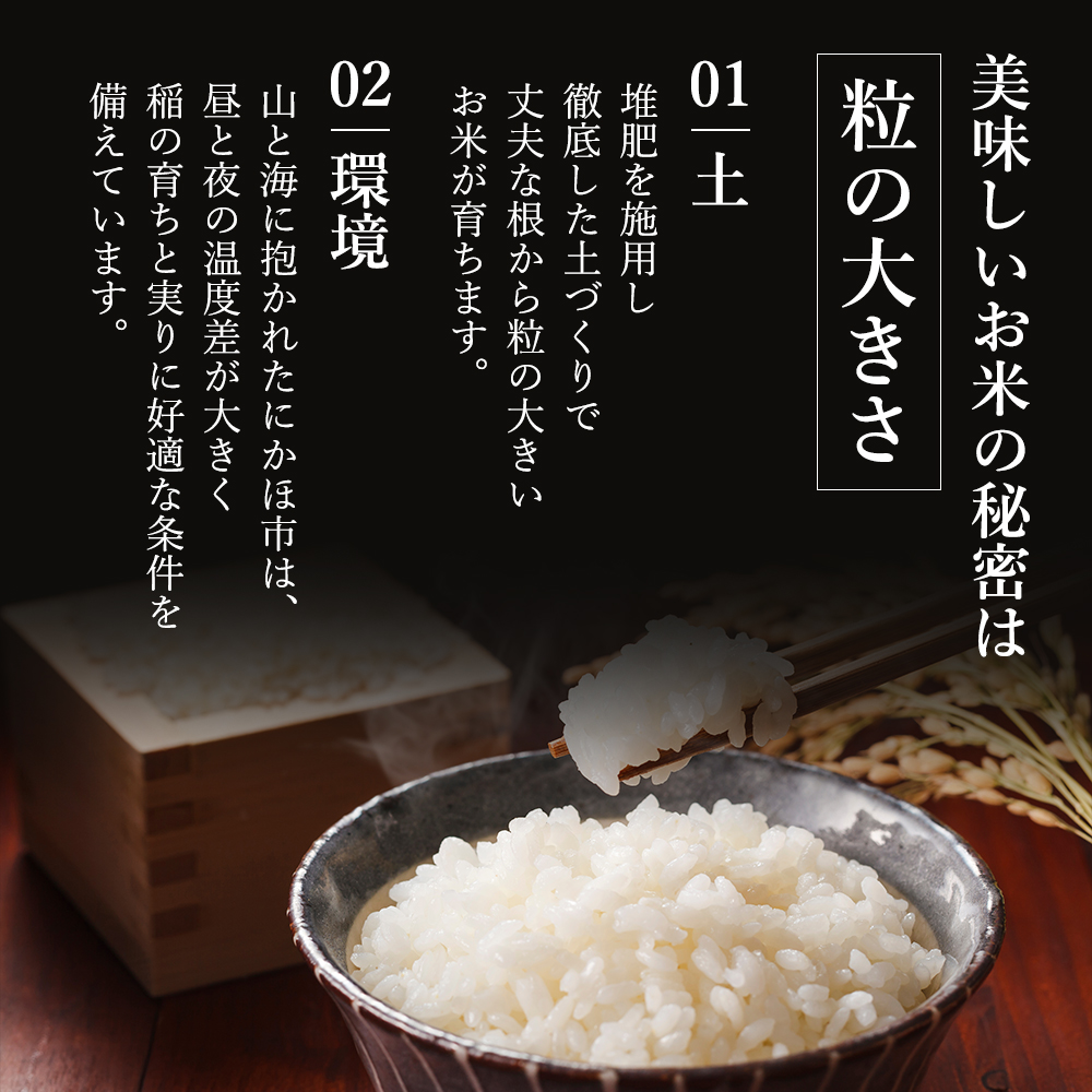 【新米先行予約　11月以降順次発送予定】米 定期便 全4回 あきたこまち 5kg ×4回 計20kg 令和8年産〈土づくり実証米〉JAしんせい【 精米 白米 米 コメ お米 ブランド米 ご飯 ごはん低たんぱく 秋田 にかほ 】