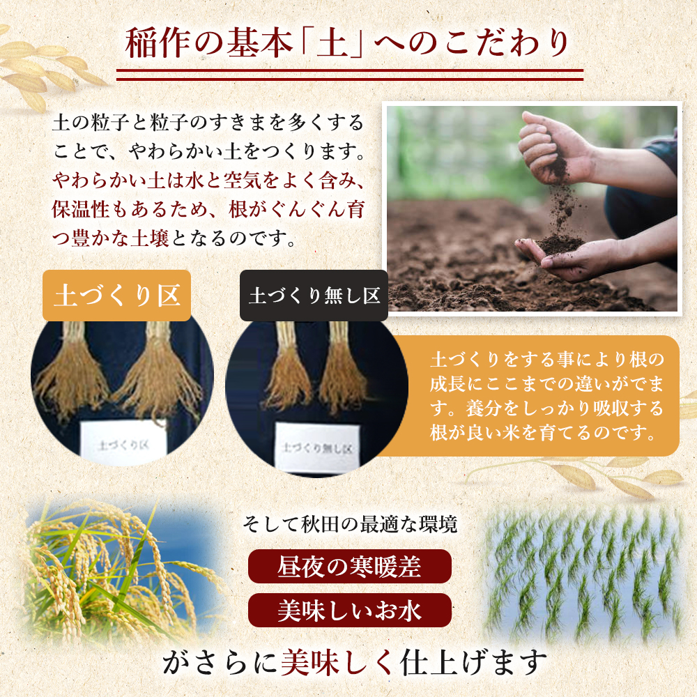 【新米先行予約　11月以降順次発送予定】米 定期便 全2回 あきたこまち 2kg ×2回 計4kg 令和8年産〈土づくり実証米〉JAしんせい【 精米 白米 米 コメ お米 ブランド米 ご飯 ごはん低たんぱく 秋田 にかほ 】